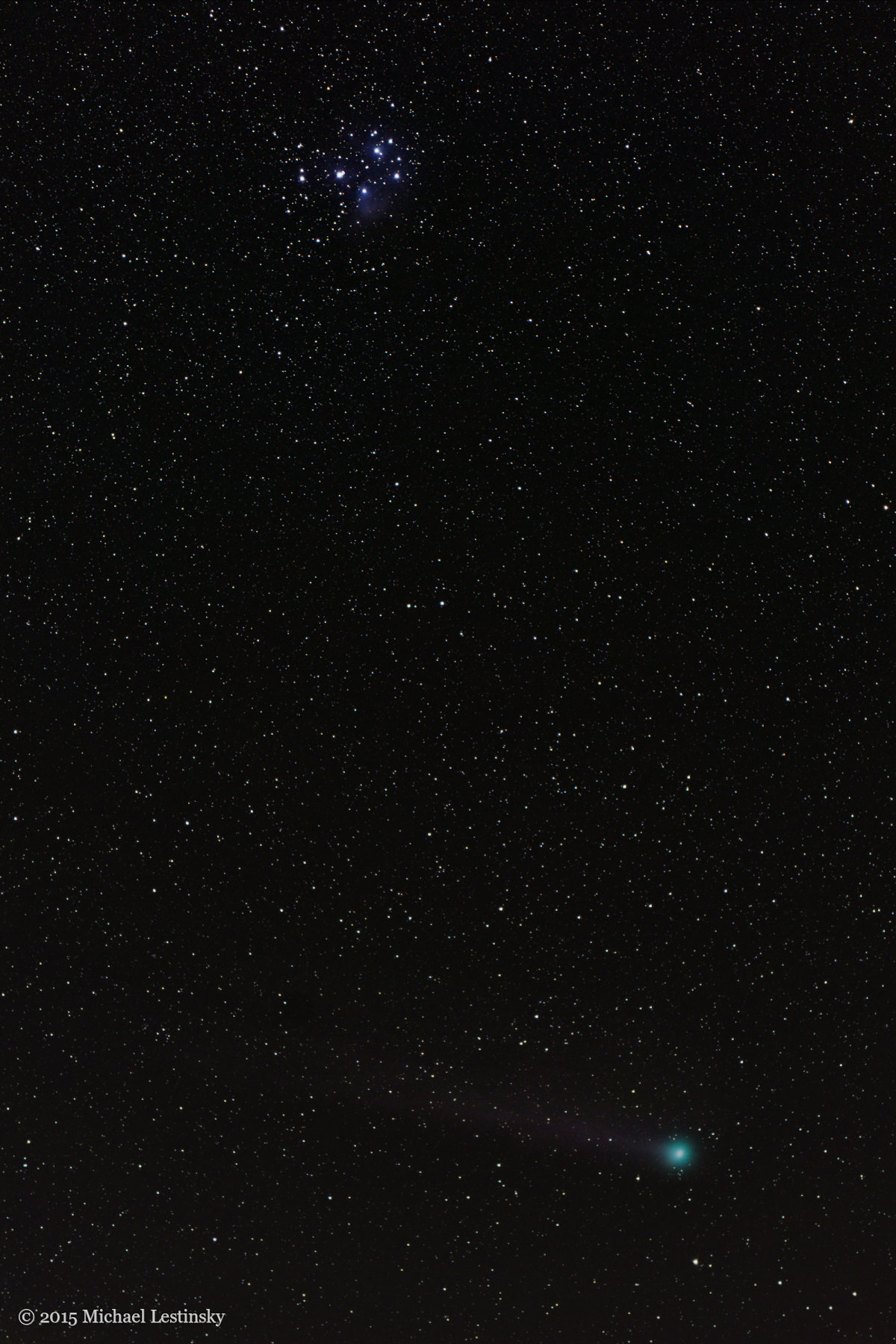 Lovejoy (14/26) (Image 14/26)