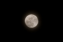 Mondfinsternis 2008: 749x501, 40KB