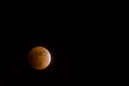 Mondfinsternis 2008: 749x501, 44KB