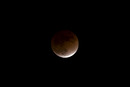 Mondfinsternis 2008: 749x502, 32KB