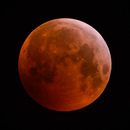 Blutmond: 900x900, 256KB