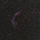 NGC 6992: 900x900, 1.2MB