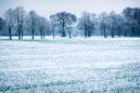 Winterlandschaft: 899x600, 660KB