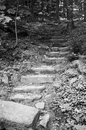 Natur: 562x849, 216KB