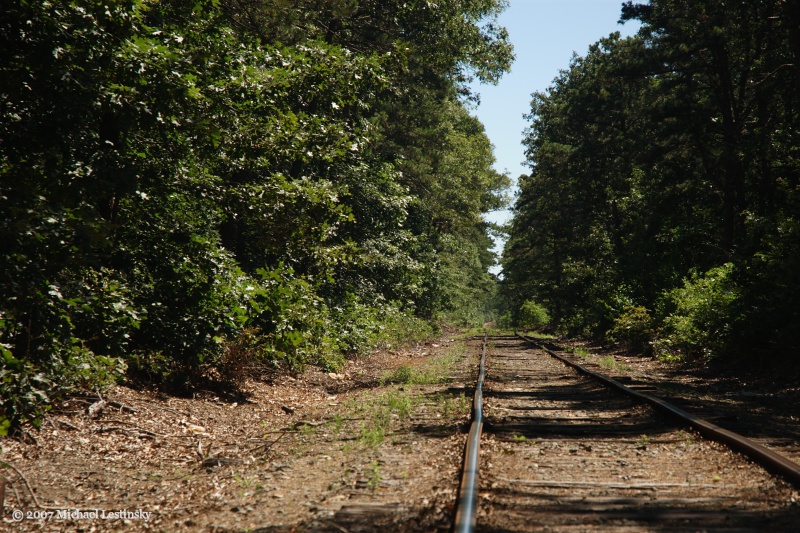 Cape Cod (4/13) (Image 4/13)