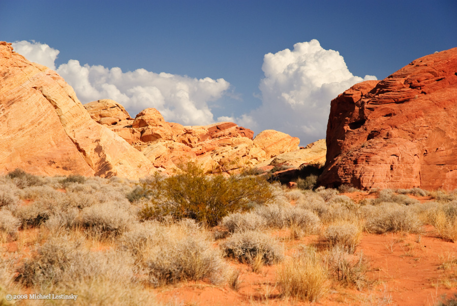 Valley of Fire (39/40) (Image 39/40)