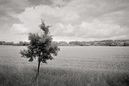 NSG Biedensand: 900x600, 304KB