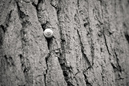 NSG Biedensand: 900x600, 312KB