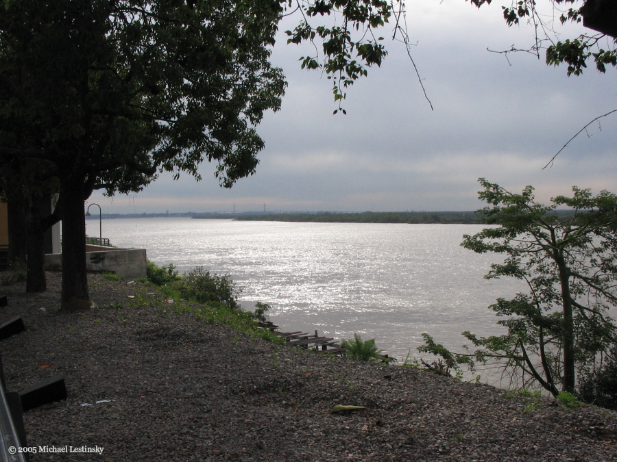 Ufer des Paraná; (2/85) (Image 2/85)