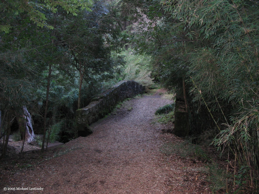 Puente Romano (28/85) (Image 28/85)