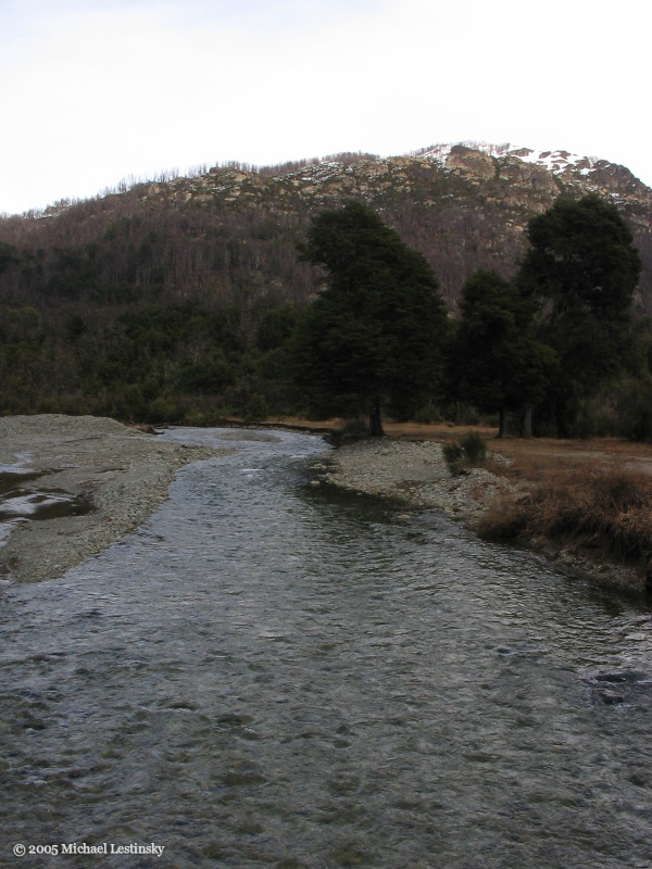 Argentinien (50/85) (Image 50/85)