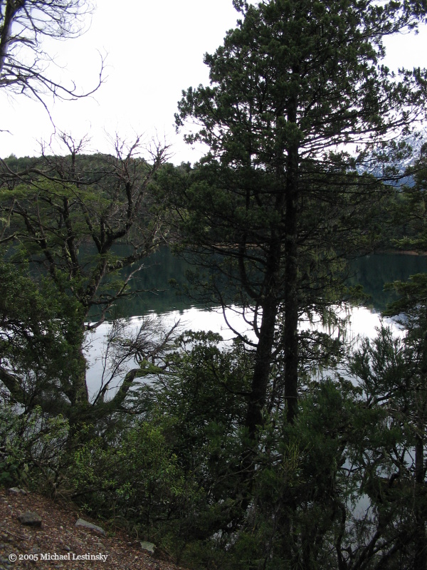 Argentinien (52/85) (Image 52/85)
