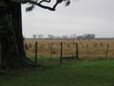 Pampa: 900x675, 212KB