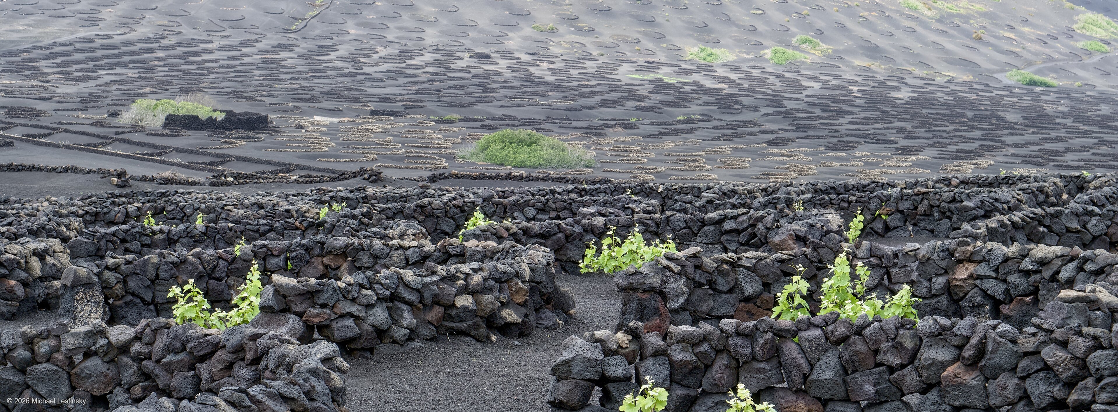 Kanaren (4/9) (Image 4/9)