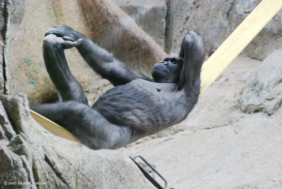 Relax (11/11) (Image 11/11)