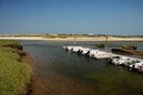 Cape Cod: 800x533, 144KB