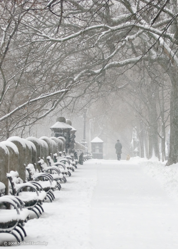 Winterspaziergang (1/60) (Image 1/60)