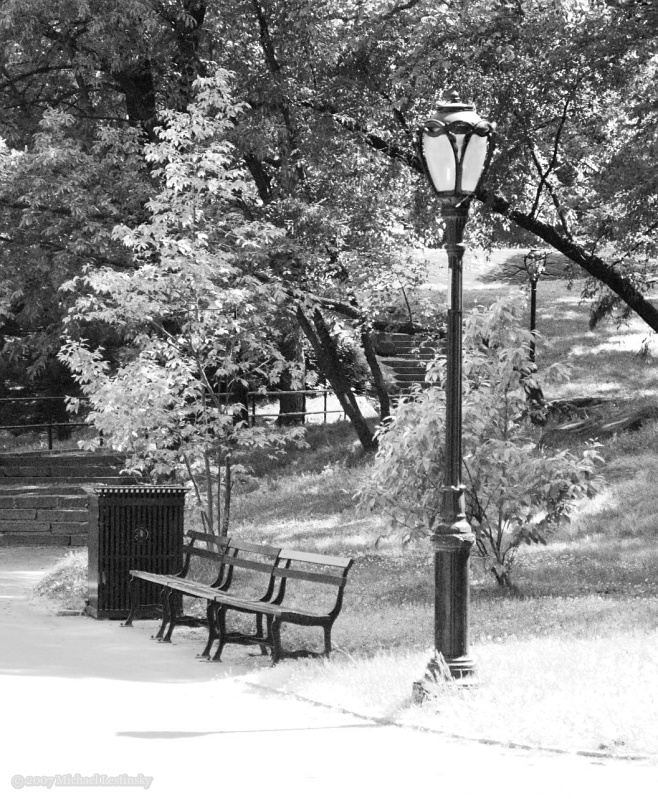 New York (8/60) (Image 8/60)