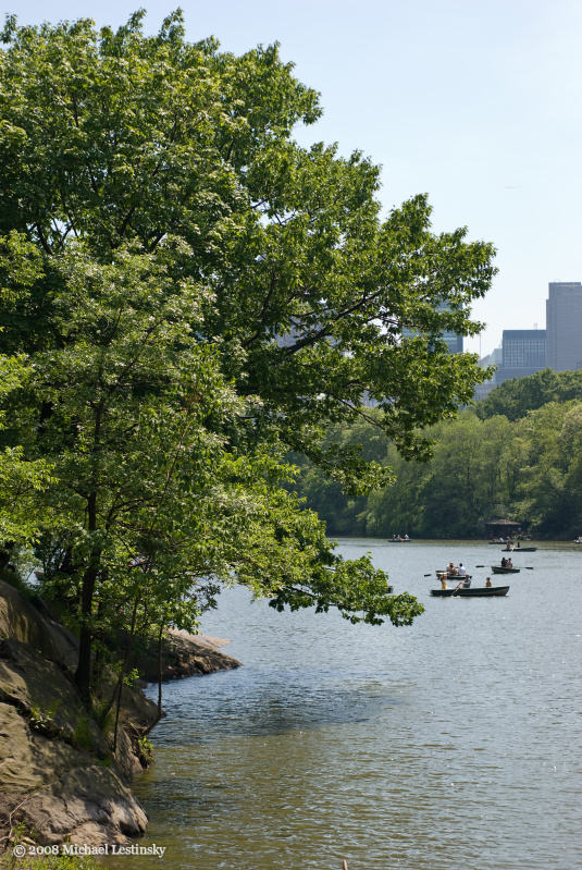 New York (52/60) (Image 52/60)