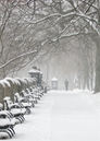 Winterspaziergang: 571x800, 236KB