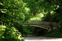 New York: 900x600, 424KB