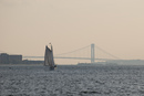 New York: 899x602, 160KB