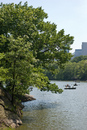 New York: 535x799, 352KB