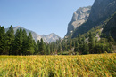Zumwalt Meadow im Kings Canyon: 899x602, 436KB