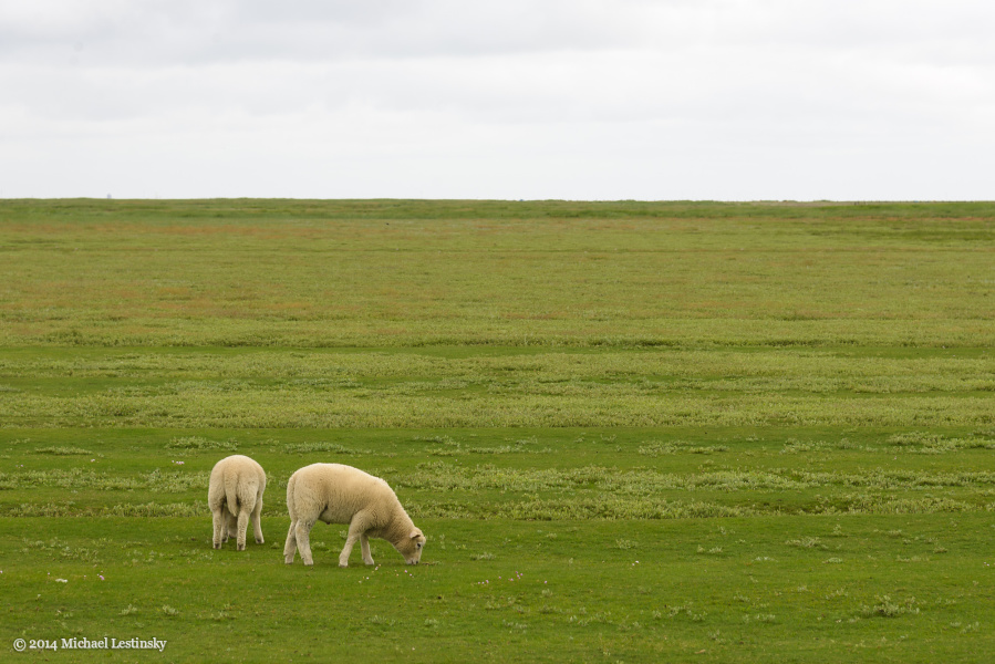 Nordsee (1/15) (Image 1/15)