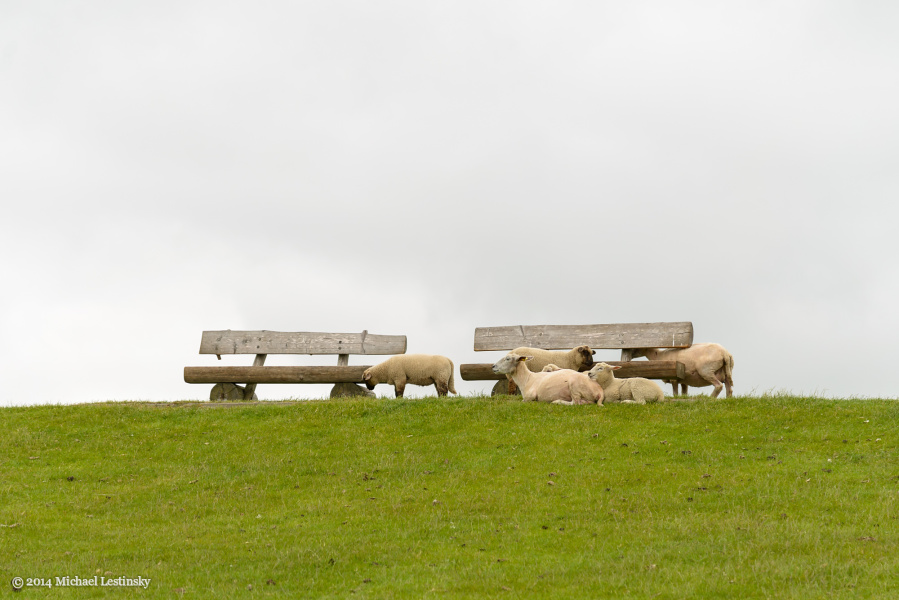 Nordsee (4/15) (Image 4/15)