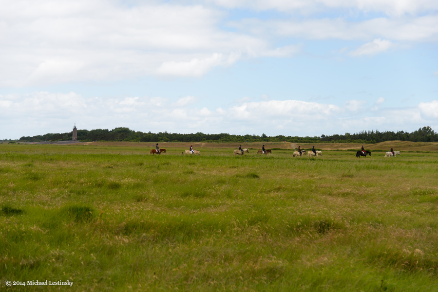 Nordsee (7/15) (Image 7/15)