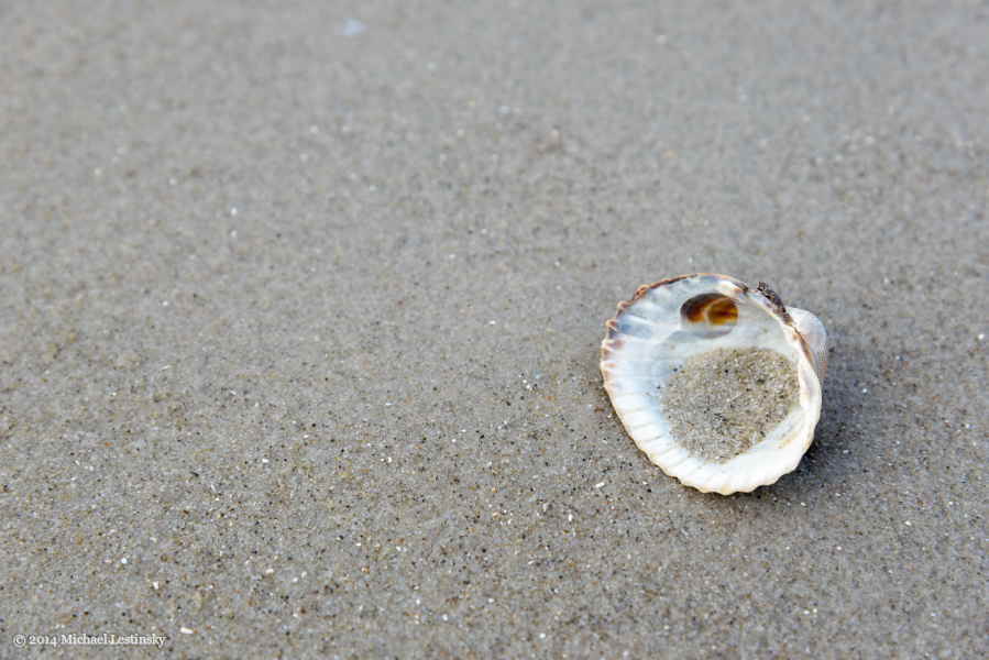 Nordsee (14/15) (Image 14/15)