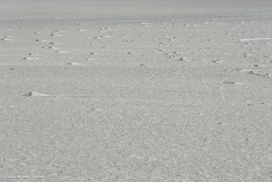 Nordsee (15/15) (Image 15/15)
