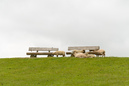 Nordsee: 899x600, 200KB