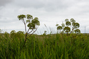 Nordsee: 899x600, 320KB