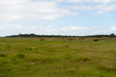 Nordsee: 899x600, 236KB