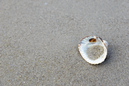 Nordsee: 899x600, 300KB