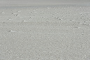 Nordsee: 899x600, 300KB
