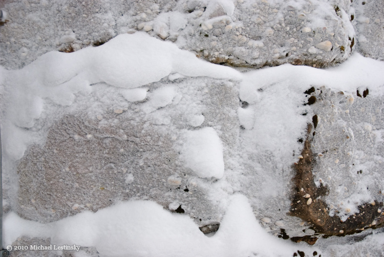 Harz im Schwarzwald 2010 (1/7) (Image 1/7)