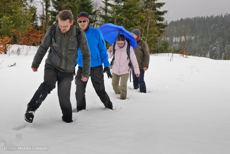 Harz im Schwarzwald 2010 (3/7) (Image 3/7)