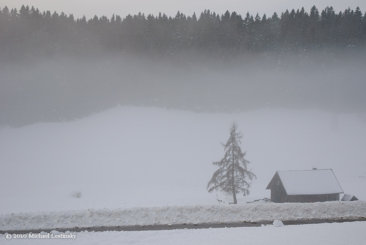 Harz im Schwarzwald 2010 (4/7) (Image 4/7)