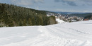 Harz im Schwarzwald 2010: 750x375, 148KB