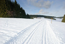Harz im Schwarzwald 2010: 750x502, 184KB