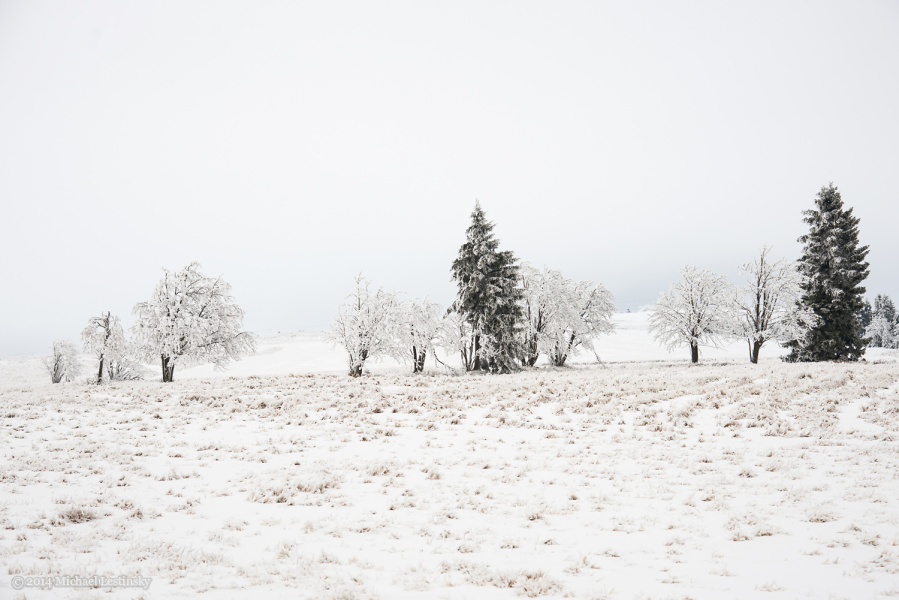 Harz im Erzgebirge 2014 (1/23) (Image 1/23)