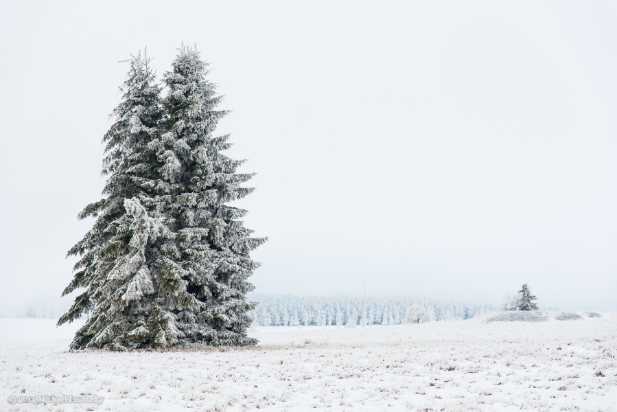 Harz im Erzgebirge 2014 (2/23) (Image 2/23)