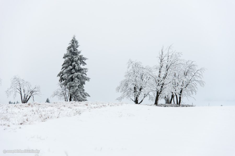 Harz im Erzgebirge 2014 (4/23) (Image 4/23)