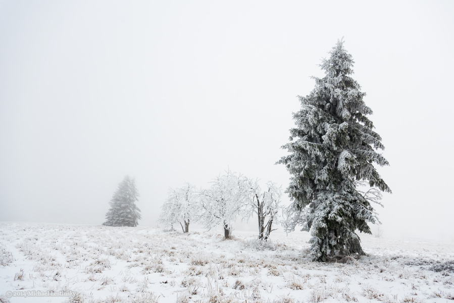 Harz im Erzgebirge 2014 (6/23) (Image 6/23)