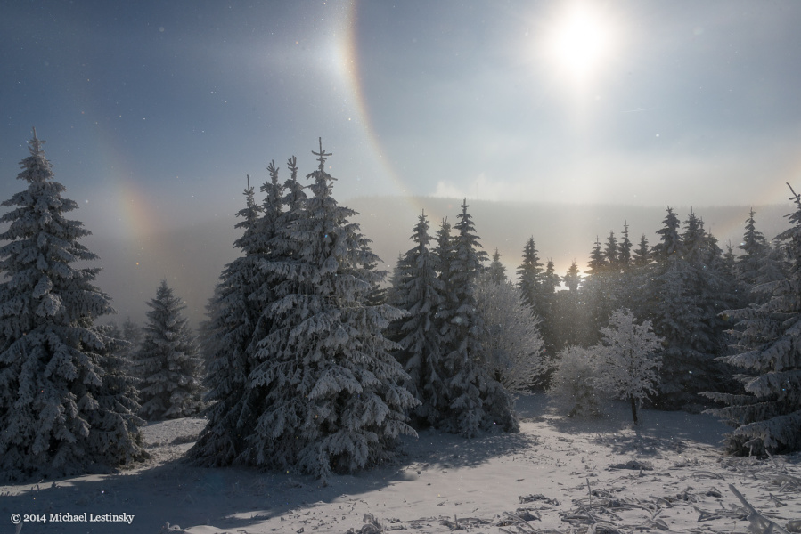 Halo (9/23) (Image 9/23)