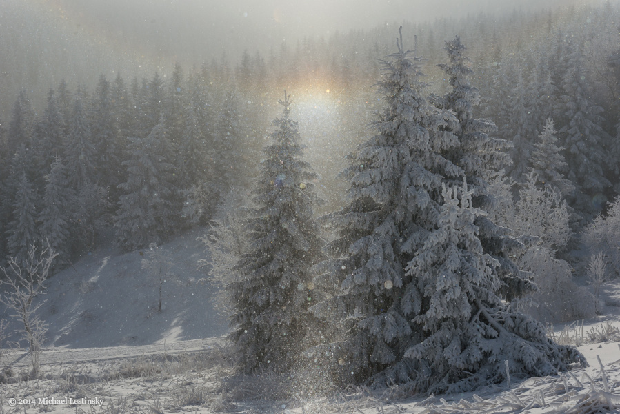 Halo (11/23) (Image 11/23)