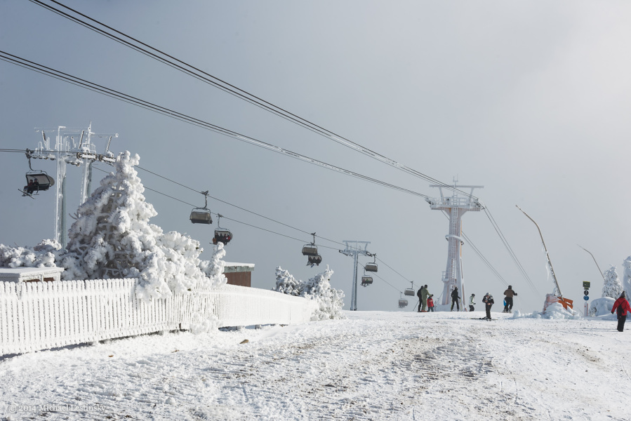 Harz im Erzgebirge 2014 (14/23) (Image 14/23)